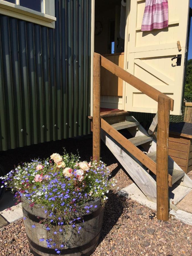The Hawthorn Shepherds Hut Аймът Екстериор снимка